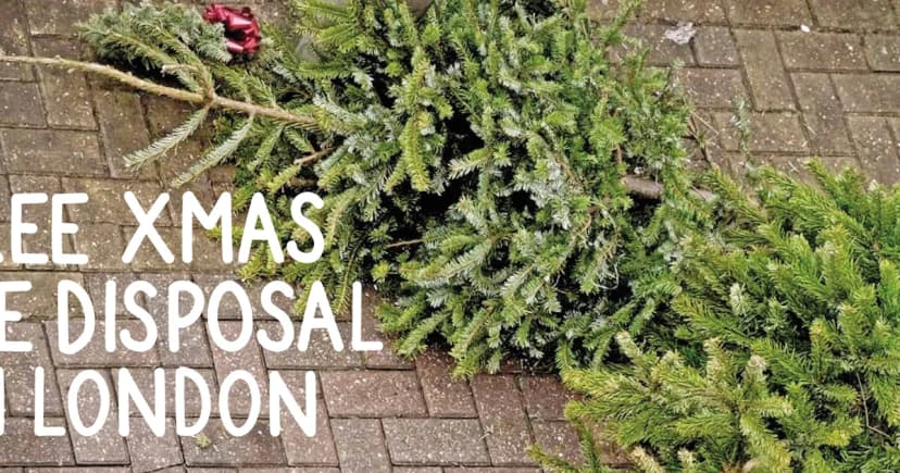 How to Recycle and Dispose of your 2023 Christmas Tree in London for Free