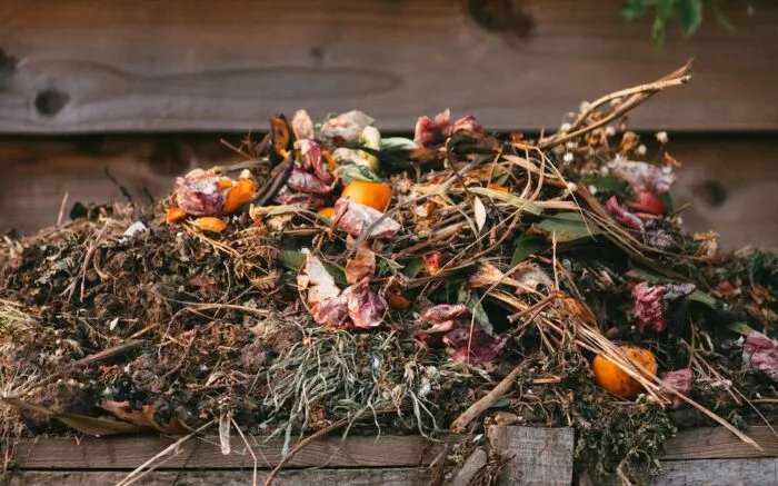 compost garden waste