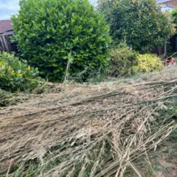 garden rubbish removed for £150 as an example of how to dispose of rubbish in birmingham