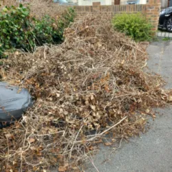 garden waste clearance bristol