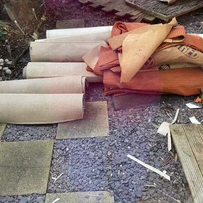 eastbourne carpet and underlay, £40