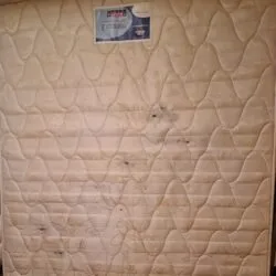 rubbish clearance guildford