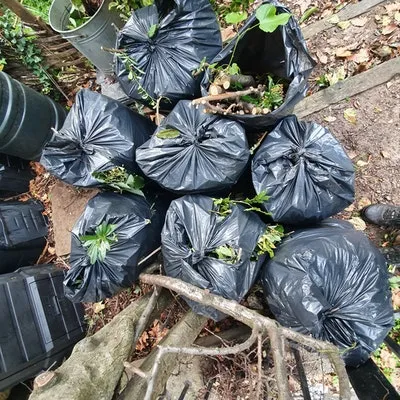 SE1 lambeth bag of general garden waste, £60 as an example of how to dispose of rubbish in lambeth