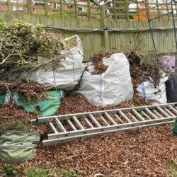 garden waste clearance norwich