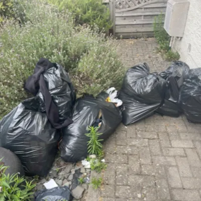 bin bags that don't fit into wheelie bins, collected for £30